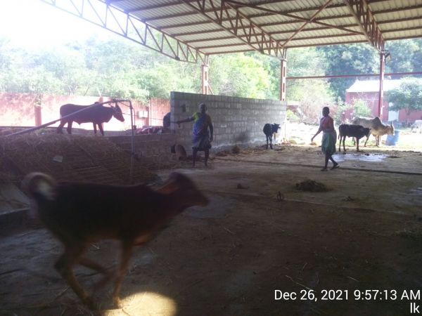 20211226 kailasa-in-tvm 095714.jpg