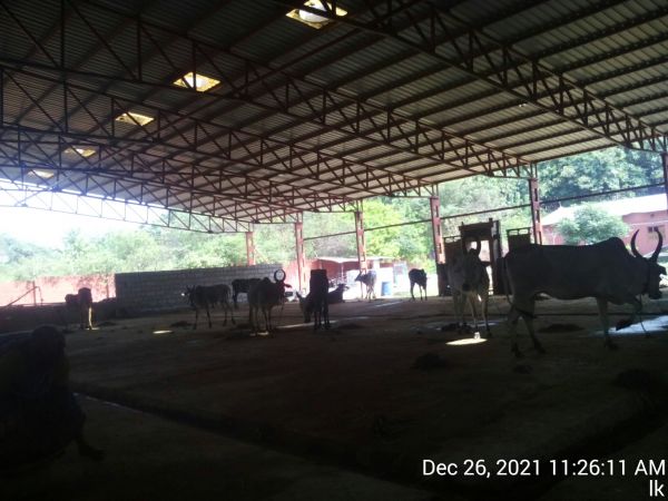 20211226 kailasa-in-tvm 112611.jpg