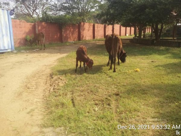 20211226 kailasa-tvm TimePhoto 20211226 095332 11.jpg