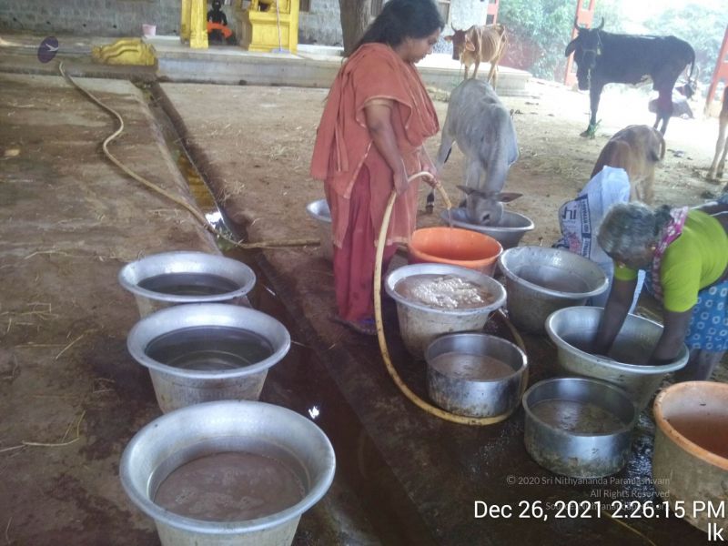 File:20211226 kailasa-tvm TimePhoto 20211226 142615 11.jpg