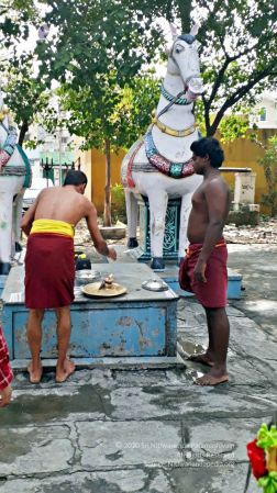 20211227 7-20211228 jayanthi temple 4.04.56 PM (1) 11 11.jpg