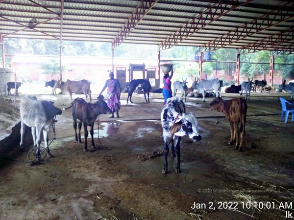 20211227 TimePhoto 20220102 101002 11.jpg