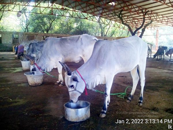 20211227 TimePhoto 20220102 151314 11.jpg