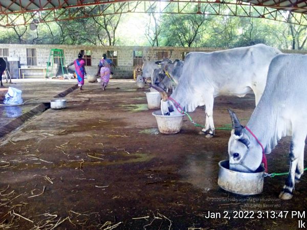 20211227 TimePhoto 20220102 151347 11.jpg