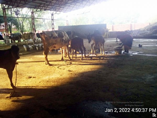 20211227 TimePhoto 20220102 165038 11.jpg