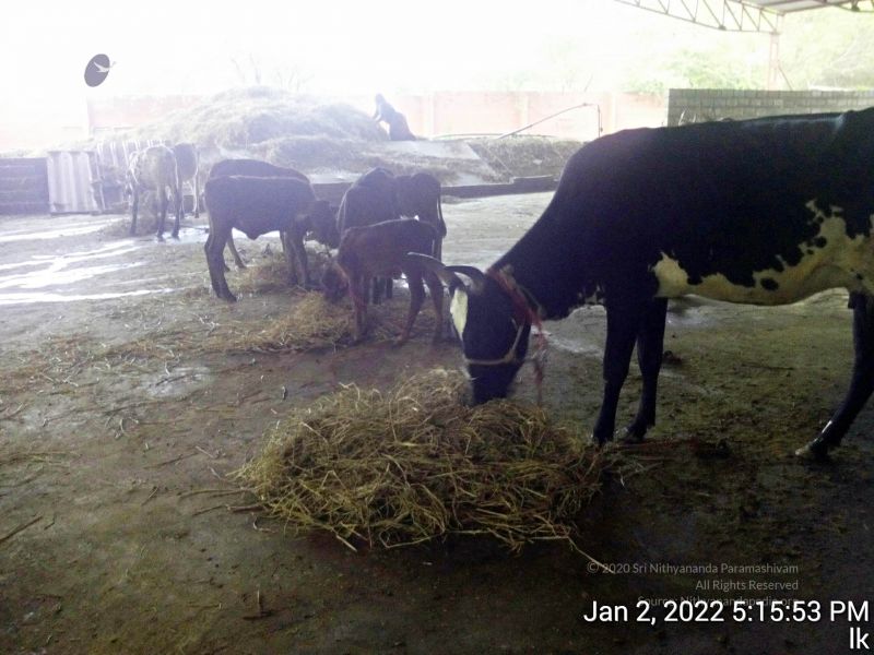 File:20211227 TimePhoto 20220102 171553 11.jpg