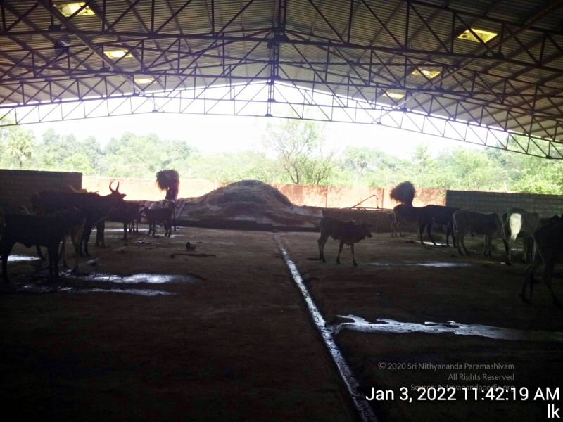 File:20211227 TimePhoto 20220103 114219 11.jpg