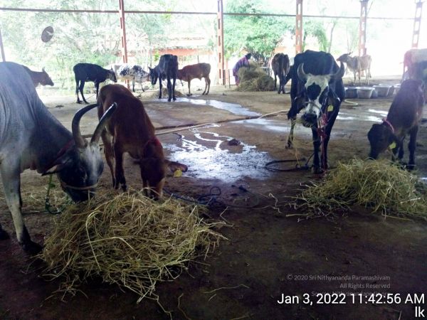 20211227 TimePhoto 20220103 114256 11.jpg