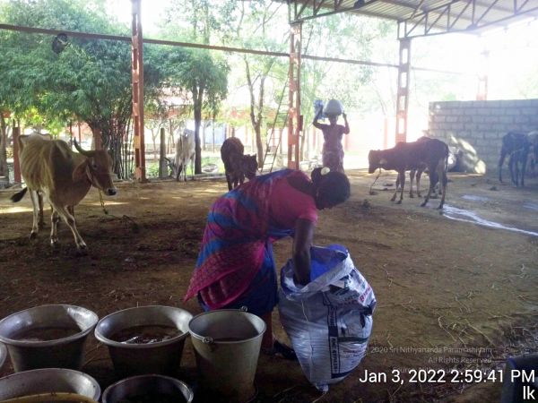 20211227 TimePhoto 20220103 145941 11.jpg