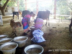 20211227 TimePhoto 20220103 150923 11.jpg