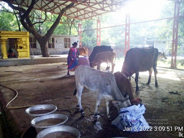 20211227 TimePhoto 20220103 150951 11.jpg