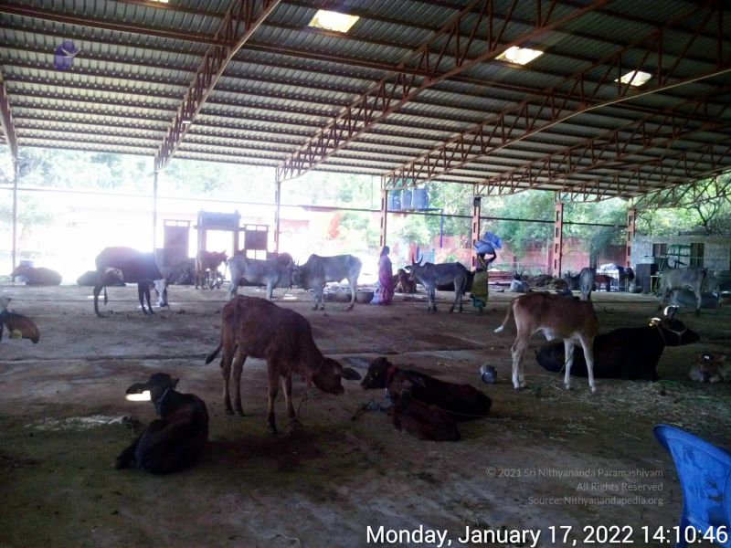 File:20211227 TimePhoto 20220117 141046 11.jpg