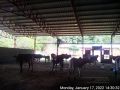 Thumbnail for version as of 11:01, 19 January 2022