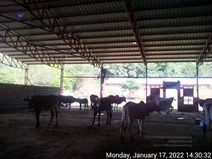 20211227 TimePhoto 20220117 143031 11.jpg