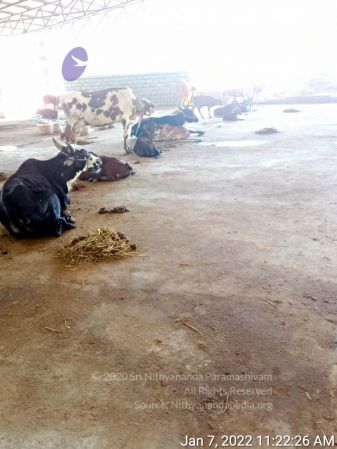 20211227 WhatsApp Image 2022-01-07 at 11.32.31 AM 11.jpg