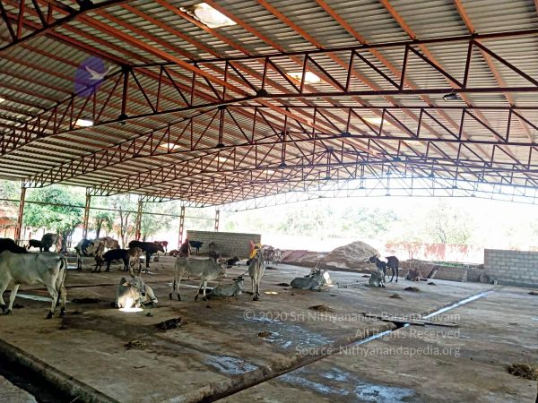 20211227 WhatsApp Image 2022-01-07 at 11.32.32 AM (1) 11.jpg