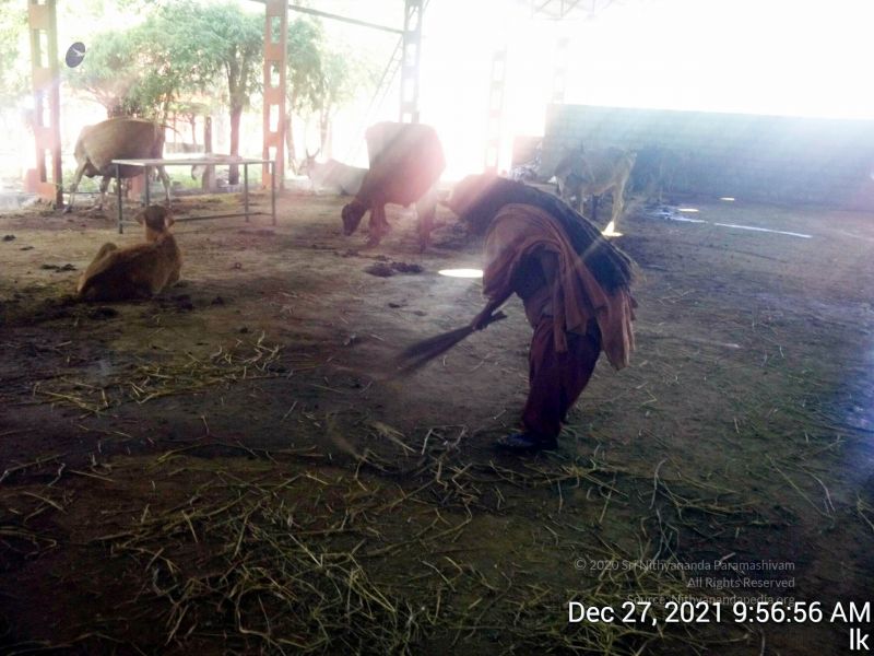 File:20211227 gaumandir 095656 11.jpg