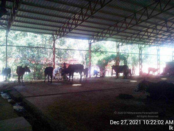 20211227 gaumandir 102202 11.jpg