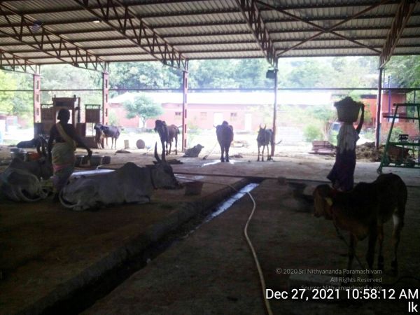 20211227 gaumandir 105812 11.jpg