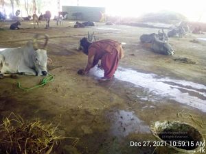 20211227 gaumandir 105915 11.jpg