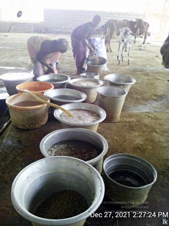 20211227 gaumandir 142724 11.jpg