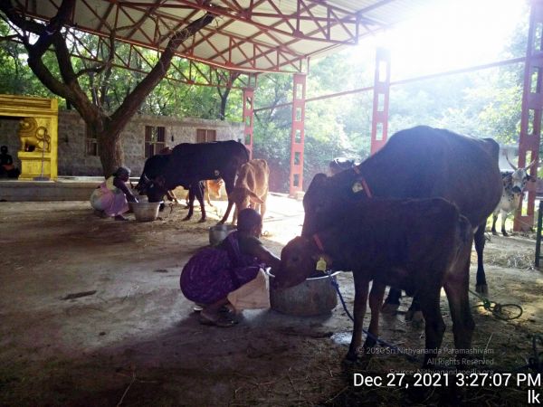 20211227 gaumandir 152707 11.jpg