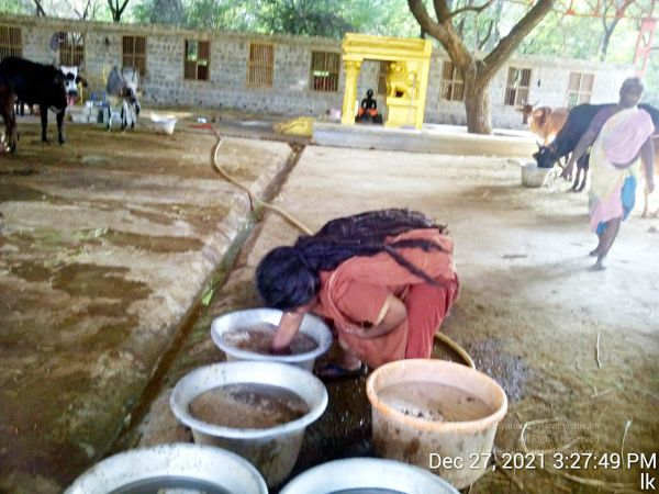 20211227 gaumandir 152749 11.jpg