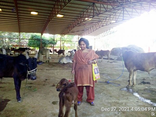 20211227 gaumandir 160504 11.jpg