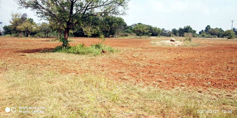 File:20211227 kacharapattu 12.05.35 PM 11.jpg