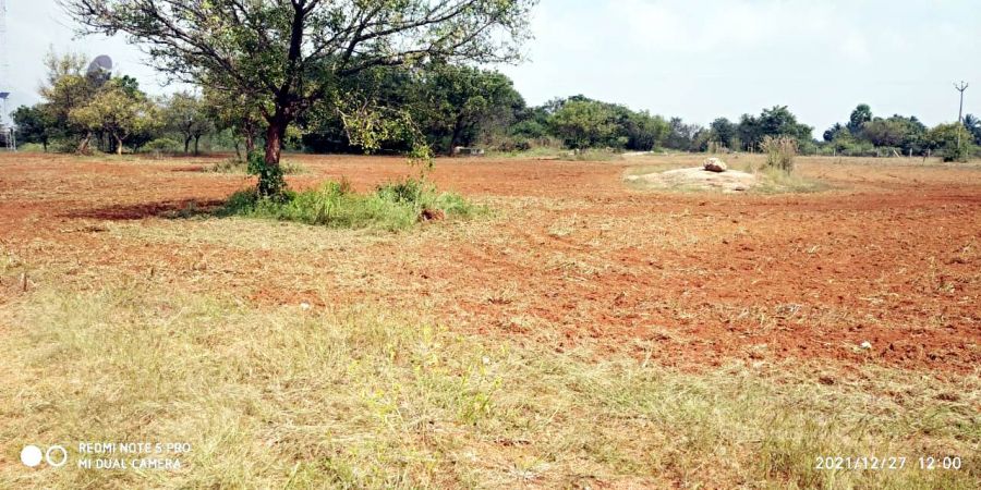 20211227 kacharapattu 12.05.35 PM 11.jpg