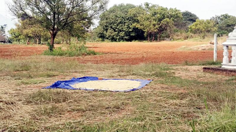 20211227 kacharapattu 2.19.40 PM (1) 11.jpg