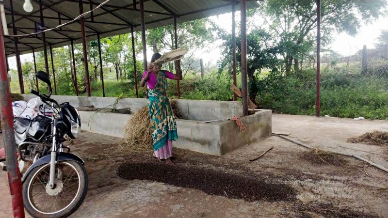 20211227 kacharapattu 2.19.40 PM 11.jpg