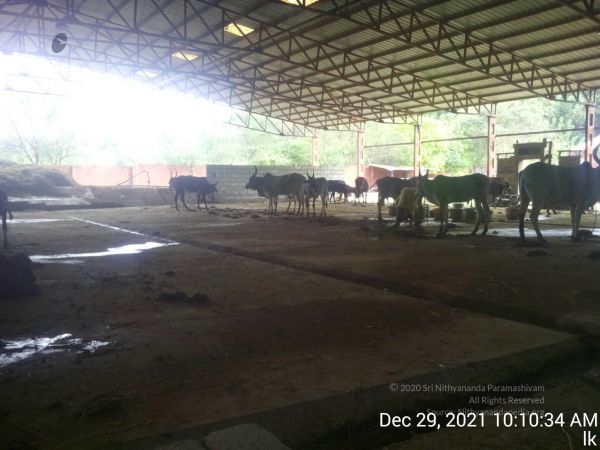 20211229 101034 11.jpg