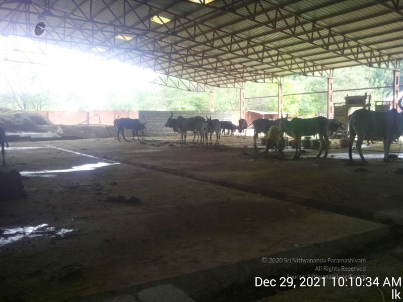 File:20211229 101034 11.jpg