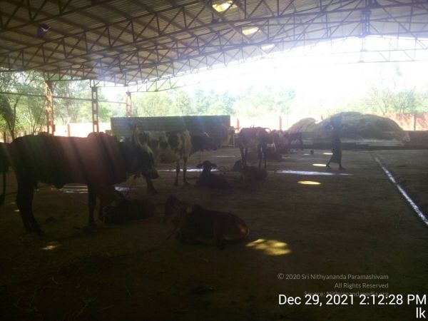 20211229 141228 11.jpg