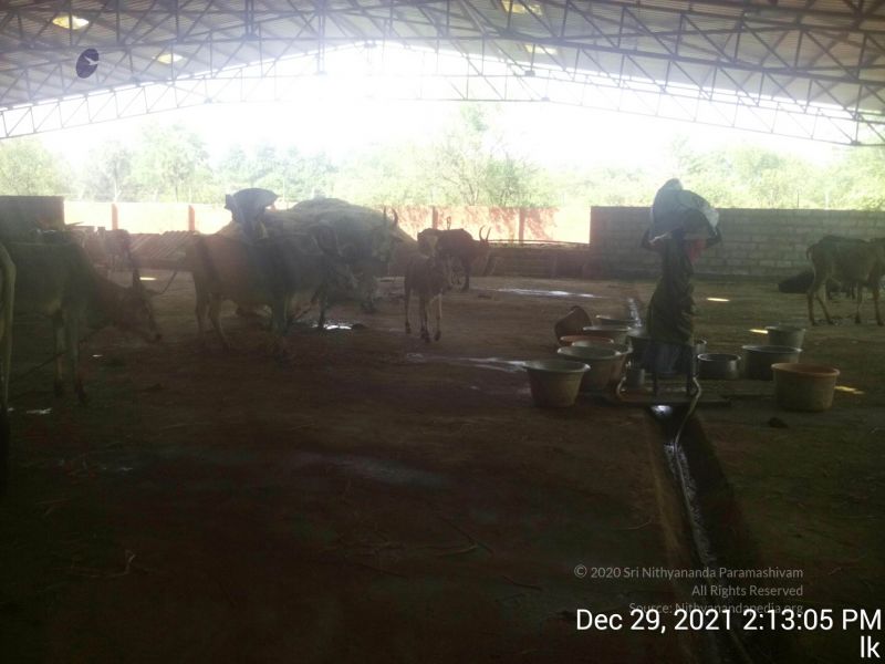 File:20211229 141305 11.jpg