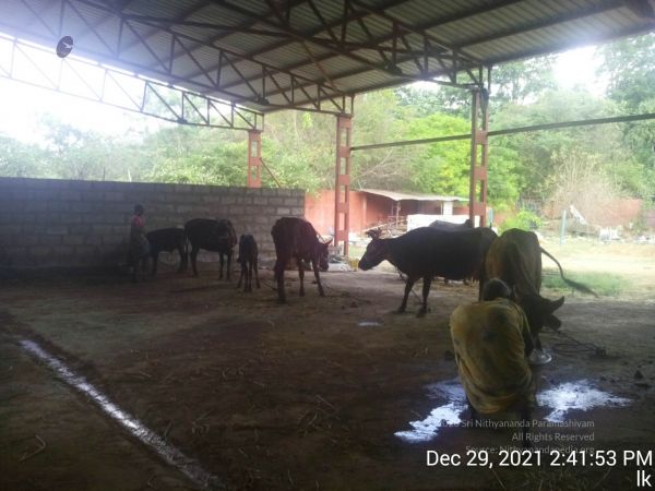 20211229 144153 11.jpg