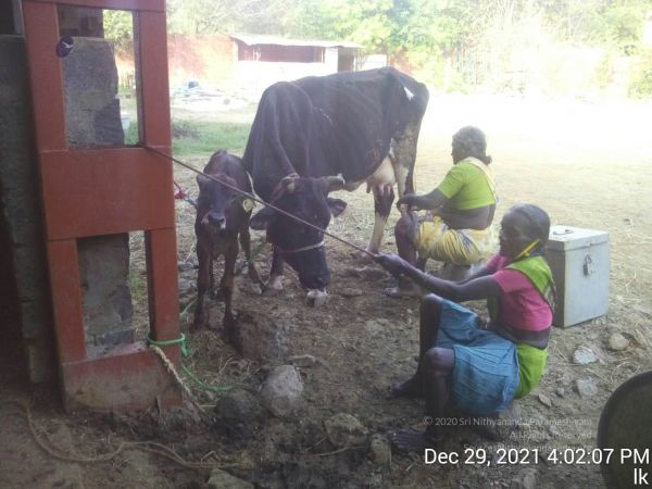 20211229 160207 11.jpg