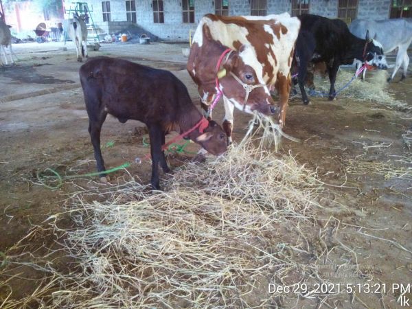 20211229 171321 11.jpg