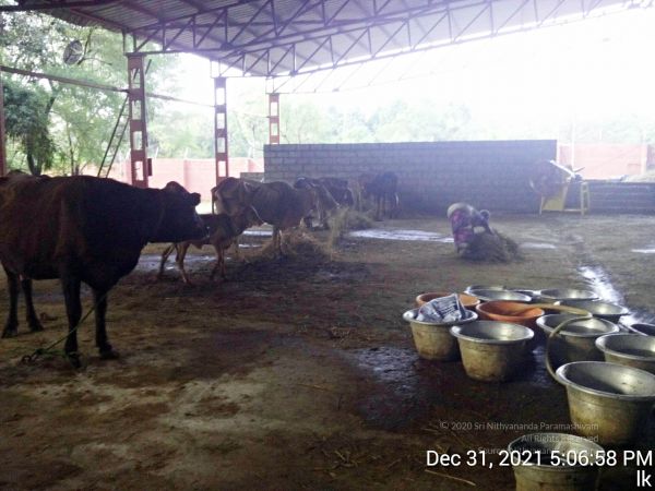 20211231 170658 11.jpg