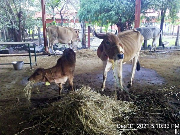 20211231 171033 11.jpg