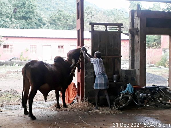 20211231 173416 11.jpg