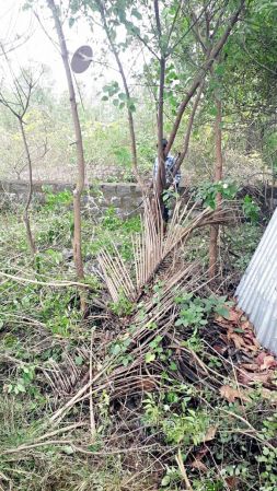 20211231 2021-12-31 at 2.48.54 PM (1) 11.jpg