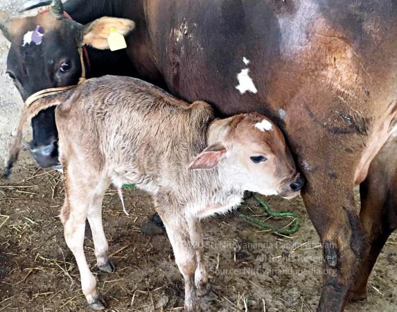 2022-01-06 at 8.41.36 PM (3) 11.jpg