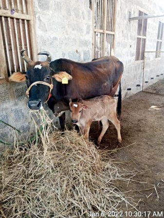 2022-01-06 at 8.48.37 PM 11.jpg