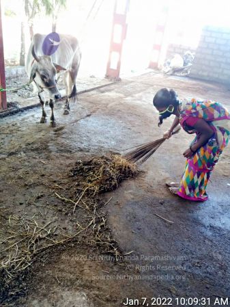 2022-01-07 at 10.15.35 AM 11.jpg