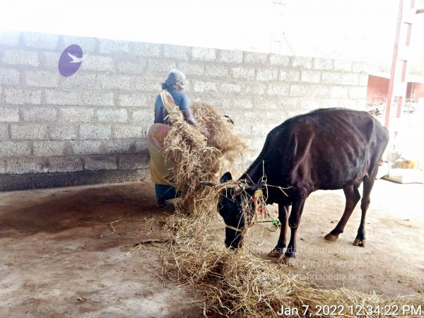 2022-01-07 at 12.40.35 PM 11.jpg