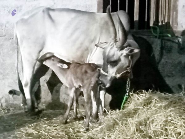 2022-01-08 at 3.18.47 PM (1) 11.jpg