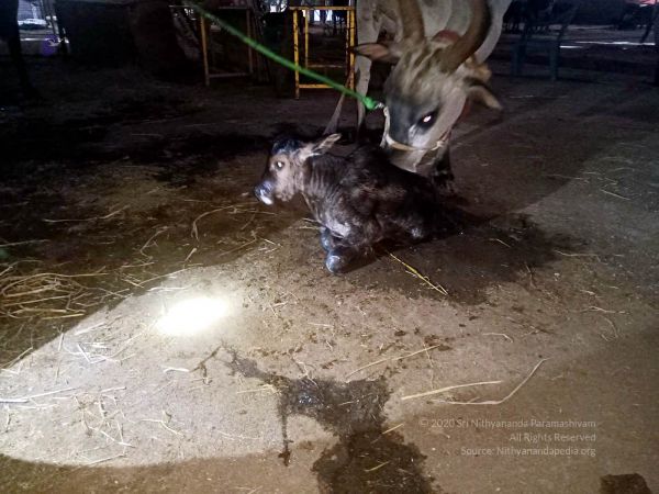 2022-01-08 at 3.18.49 PM 11.jpg