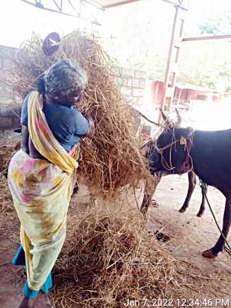 2022-01-08 at 3.49.26 PM (1) 11.jpg